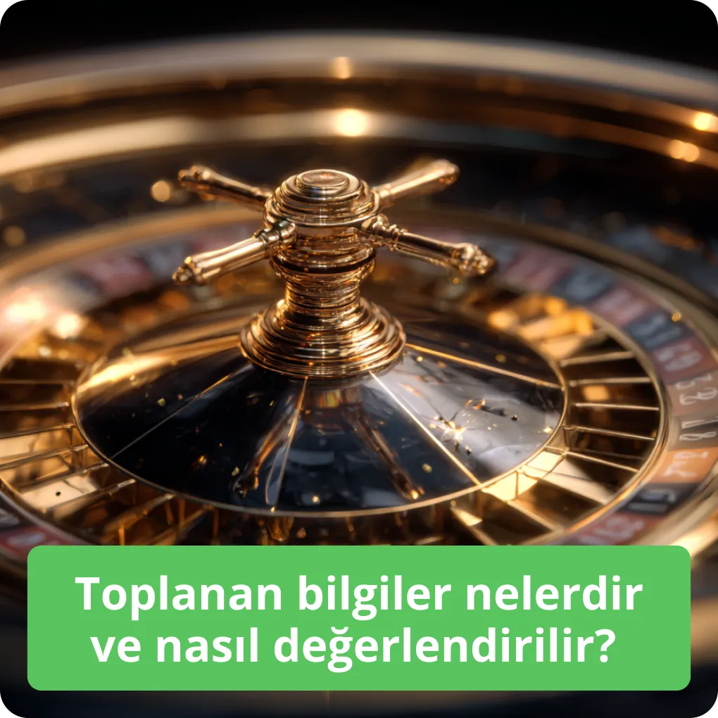 Toplanan bilgiler nelerdir ve nasıl değerlendirilir?