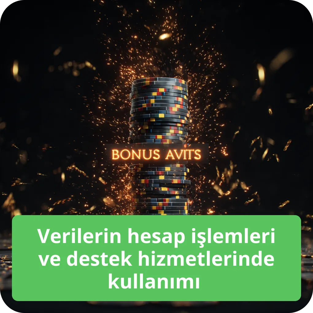 Verilerin hesap işlemleri ve destek hizmetlerinde kullanımı